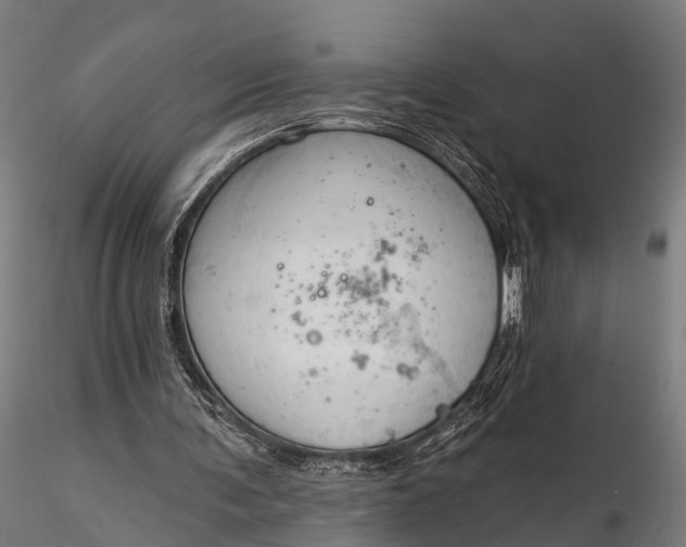 X0000116320291200912151249