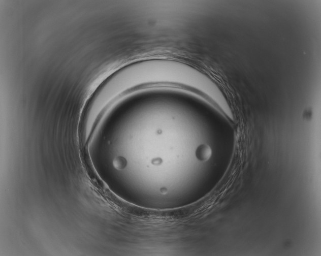 X0000116320292200912151249