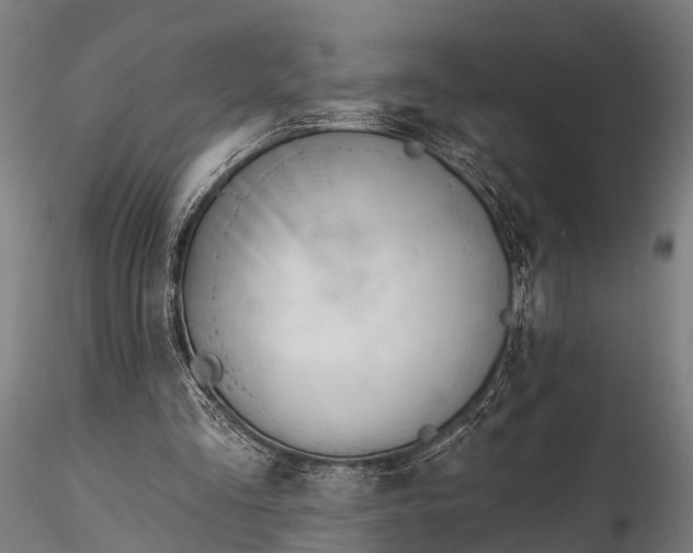 X0000116320293200912151249