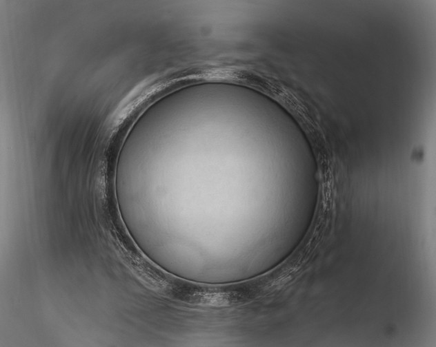 X0000116320295200912151249