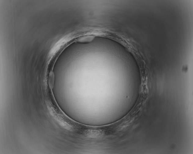 X0000116320296200912151249