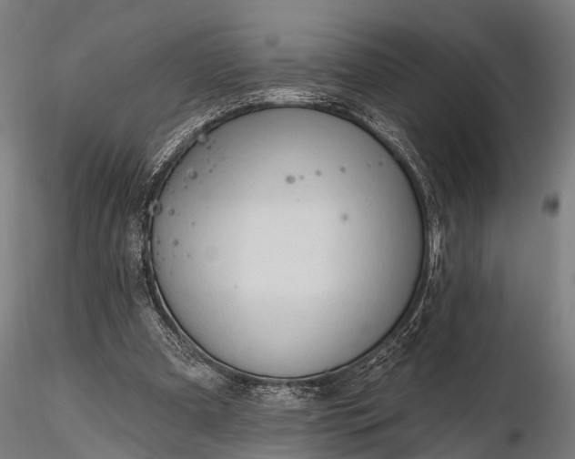 X0000116320297200912151249