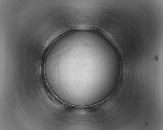 X0000116320299200912151249