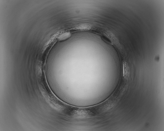 X0000116320300200912151249