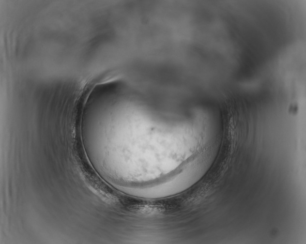 X0000116320303200912151249