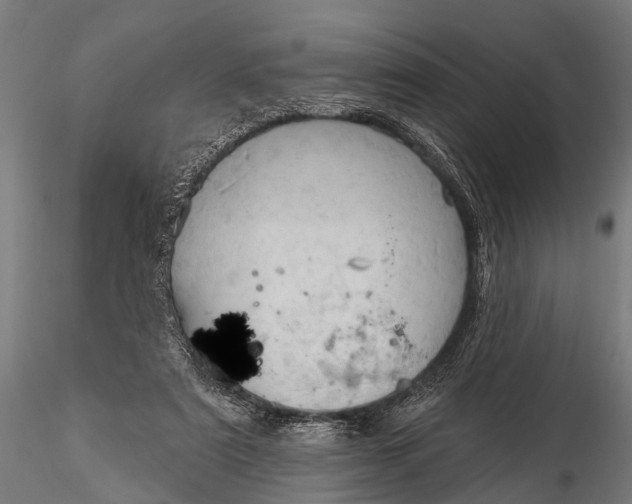 X0000116320307200912151248