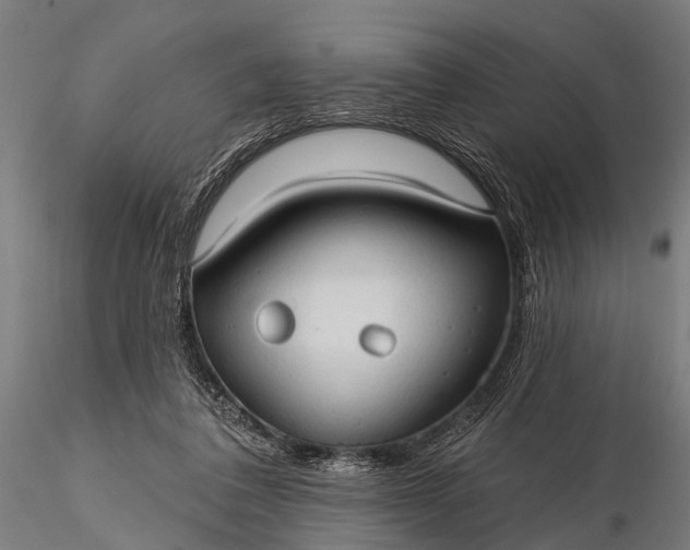 X0000116320308200912151248