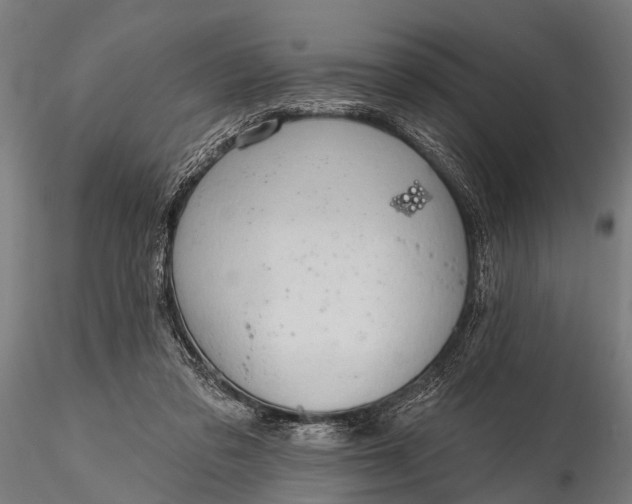 X0000116320309200912151248