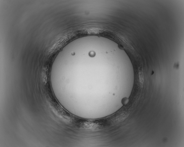 X0000116320311200912151248