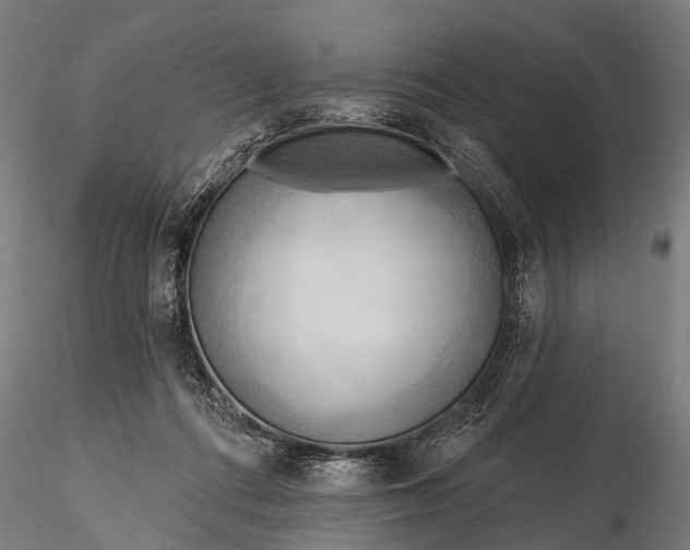 X0000116320312200912151248