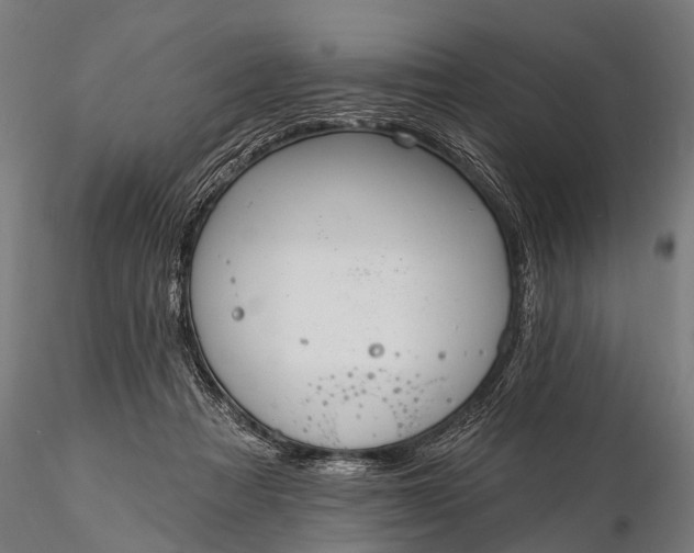 X0000116320313200912151248