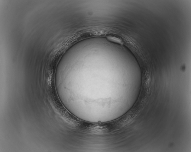 X0000116320315200912151248