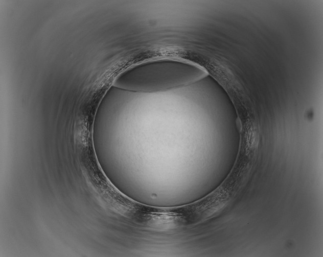 X0000116320316200912151248