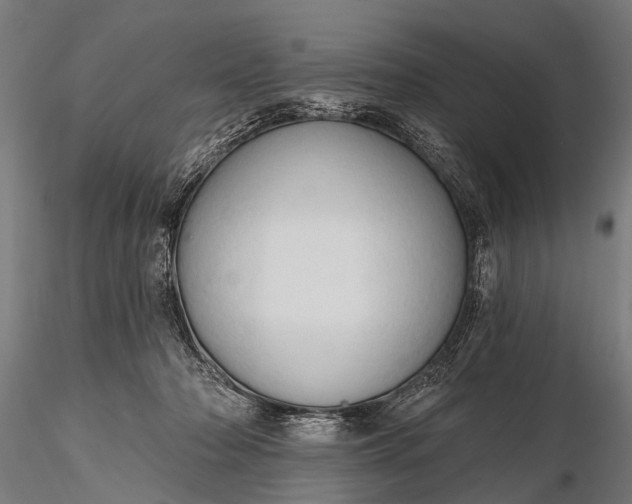 X0000116320318200912151248