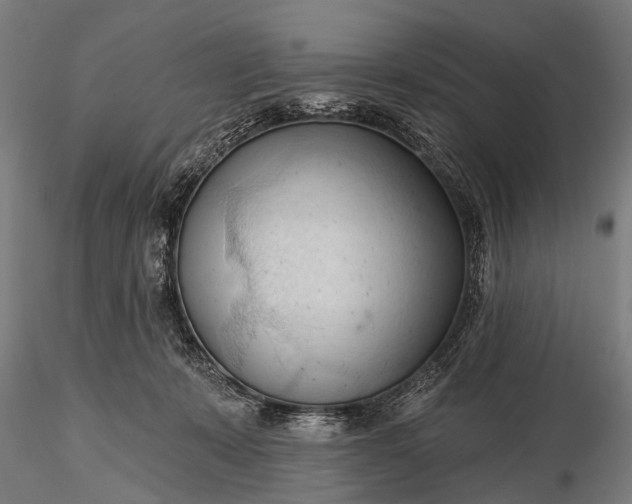 X0000116320319200912151248