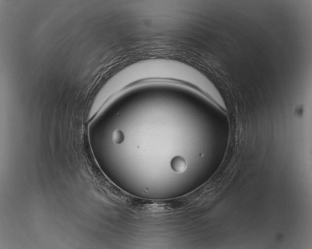 X0000116320320200912151248