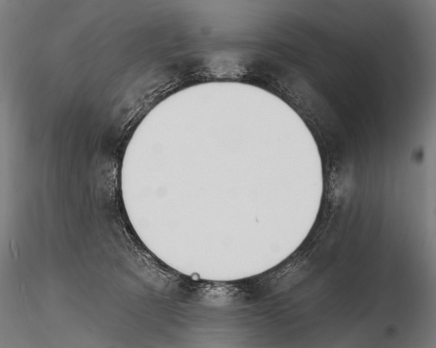 X0000116320321200912151248