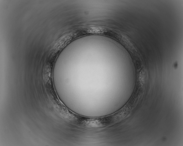 X0000116320322200912151248