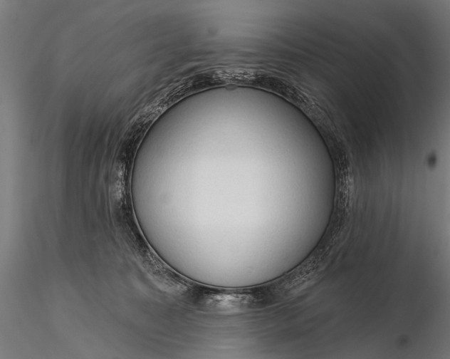 X0000116320323200912151248