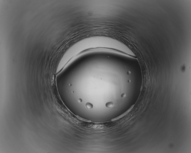 X0000116320324200912151248