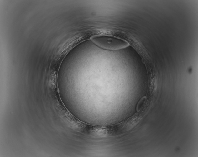 X0000116320325200912151248