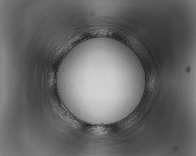 X0000116320326200912151248