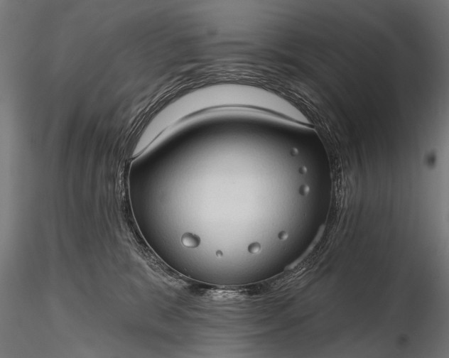 X0000116320327200912151248