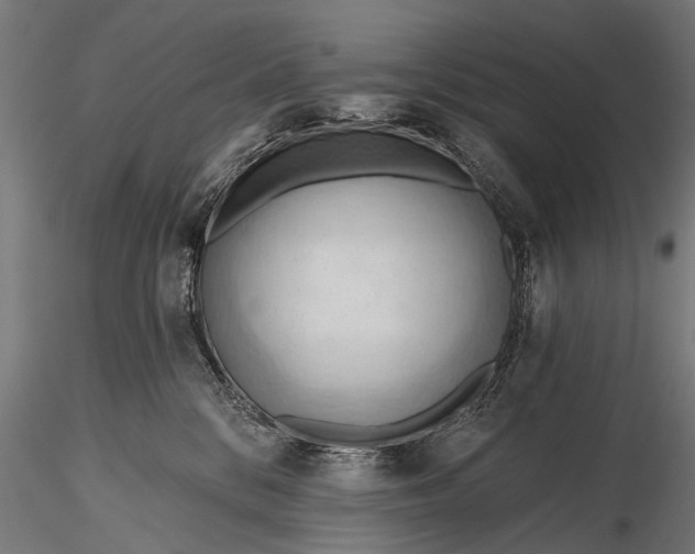 X0000116320328200912151248