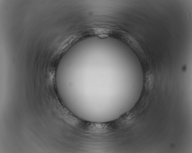 X0000116320329200912151248