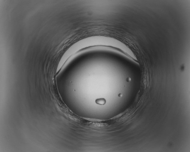 X0000116320332200912151248