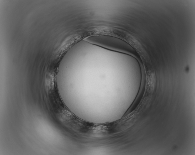 X0000116320333200912151248