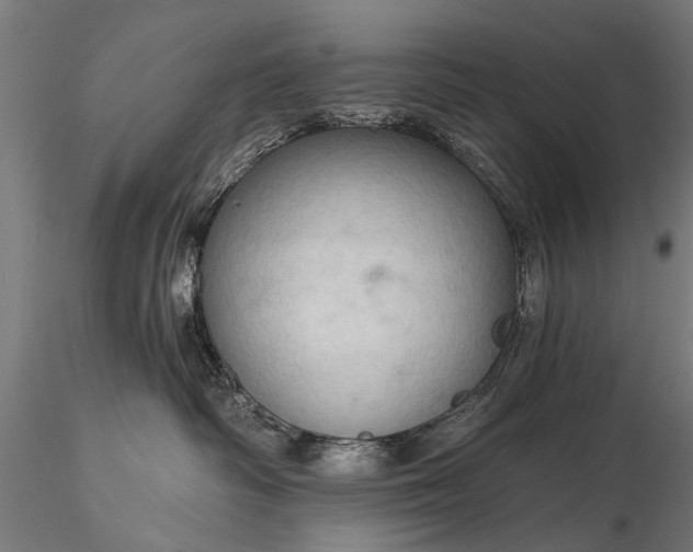 X0000116320334200912151248