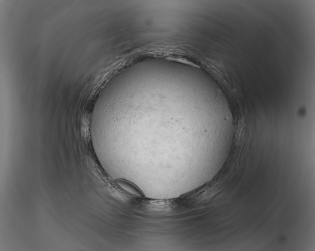 X0000116320335200912151248