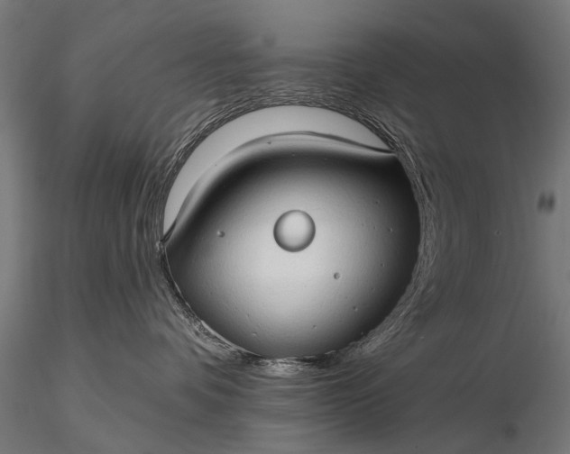 X0000116320336200912151248