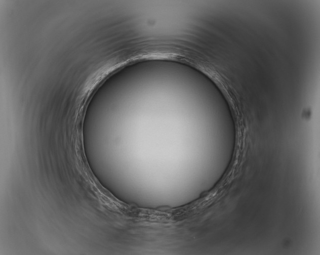 X0000116320337200912151247