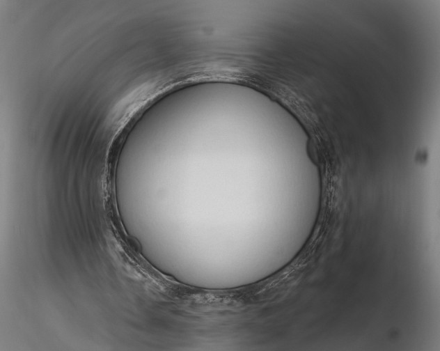 X0000116320338200912151247