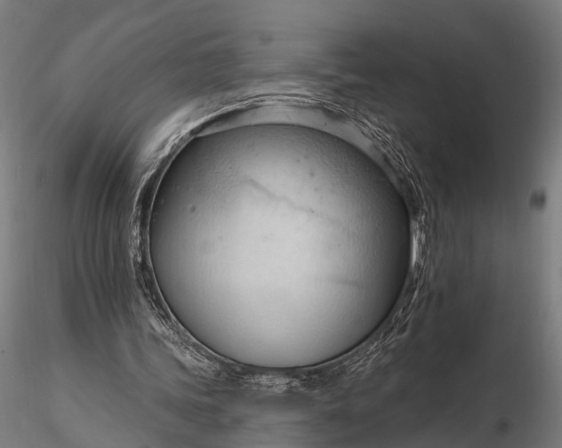 X0000116320339200912151247