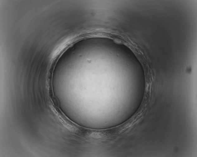 X0000116320341200912151247