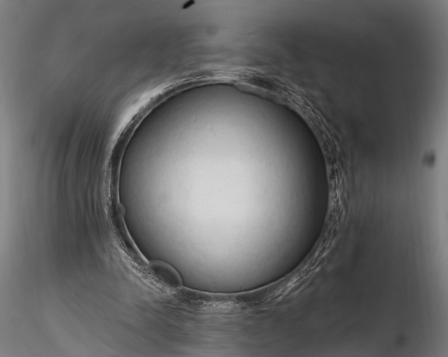 X0000116320342200912151247