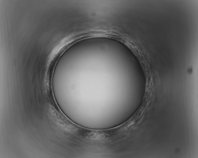 X0000116320343200912151247