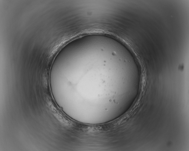 X0000116320345200912151248