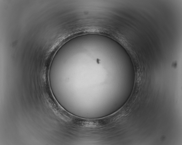 X0000116320347200912151248