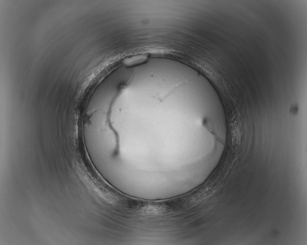 X0000116320350200912151248