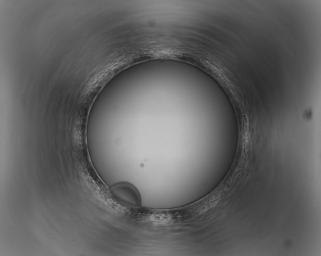 X0000116320353200912151248