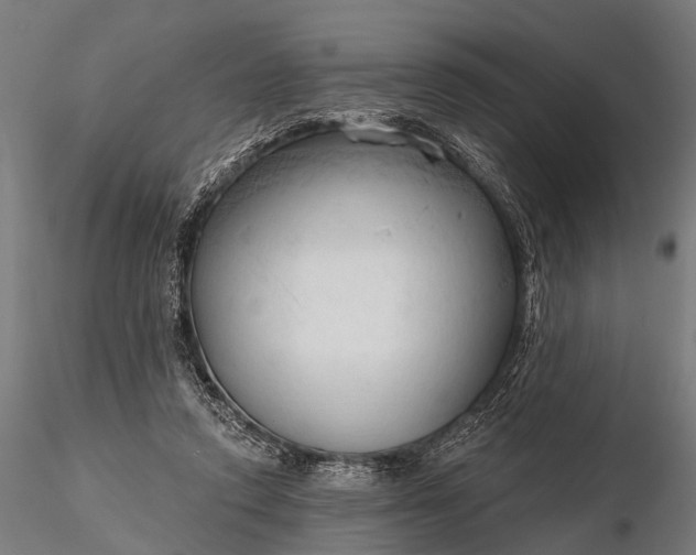 X0000116320354200912151248