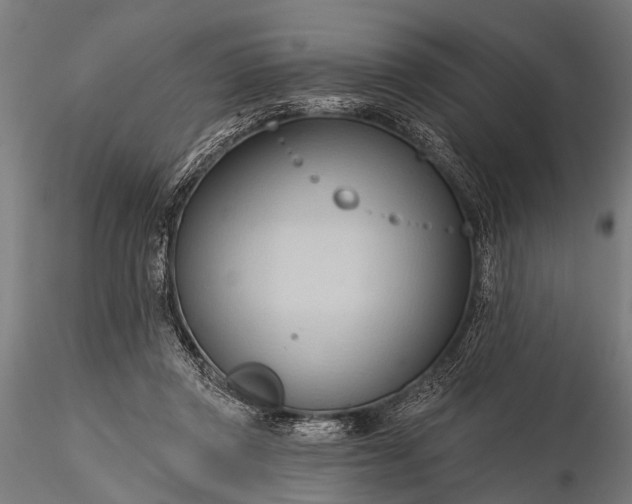 X0000116320357200912151248