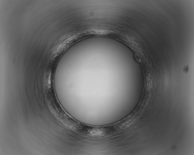 X0000116320358200912151248