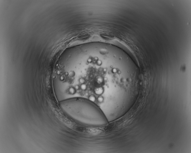 X0000116320359200912151248