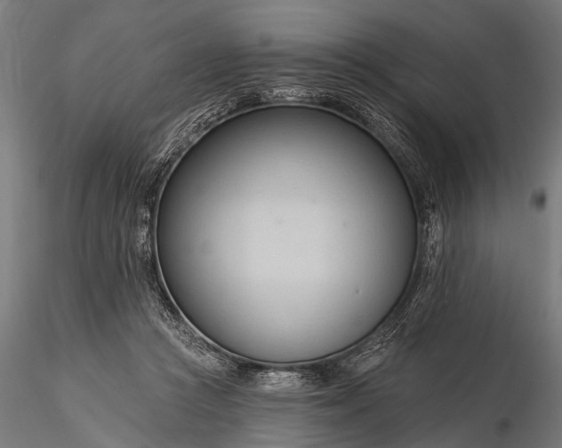 X0000116320361200912151248