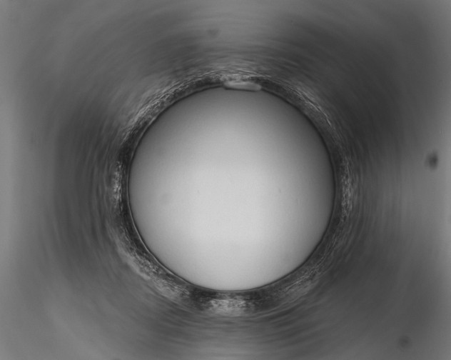 X0000116320362200912151248